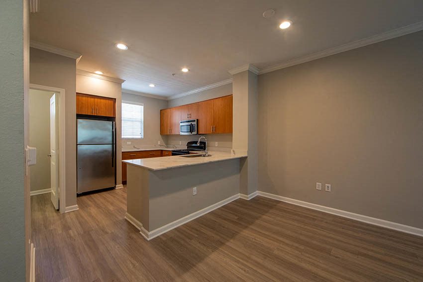 Gallery Photo 58